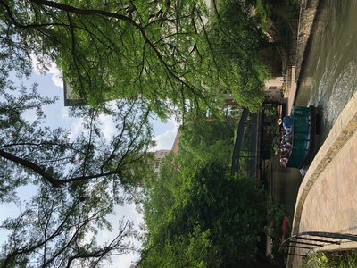 IMG_4122.jpeg