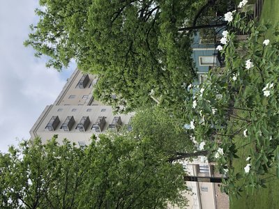 IMG_4098.jpeg