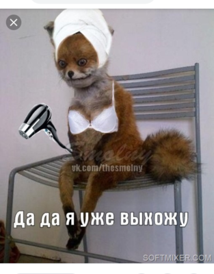 Screenshot_2019-04-20-12-29-00~2.png