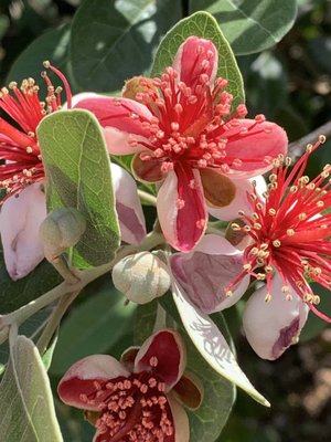 0-02-01-327809cd560378d8107dced63e772e64597a73fd789d15bc59e76bef630c149a_23d93275 (2).jpg