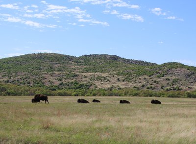 IMG_9920.JPG