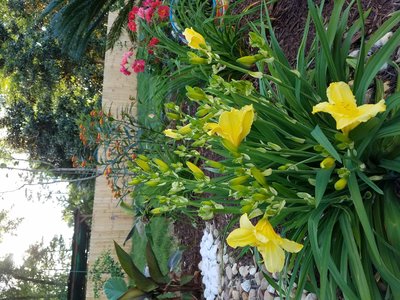 20190420_185036.jpg