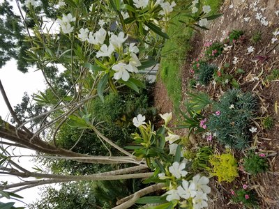 20190425_091659.jpg