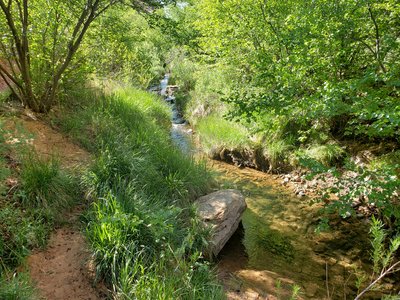 20190427_094840.jpg