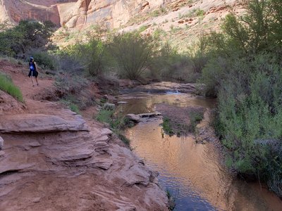 20190427_100152.jpg