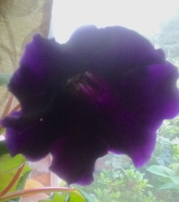 20190428_071849.jpg