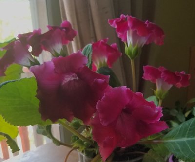 20190428_112029.jpg