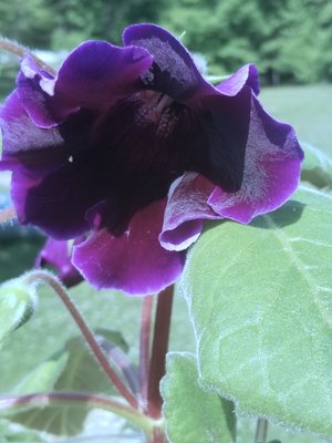 20190428_112354.jpg