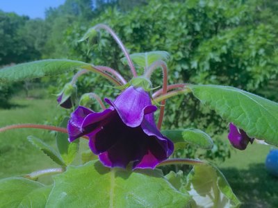 20190428_112318.jpg