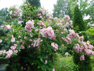 DSCN0629.JPG