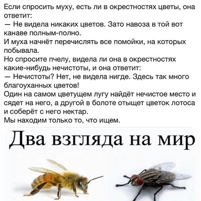 imageB1H9QHXP.jpg