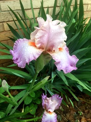IMG_3997.JPG