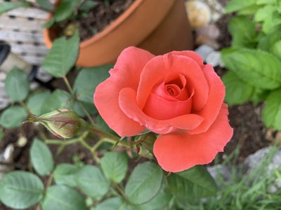 59F905D2-61DA-4A65-905B-9FFD71F40D11.jpeg