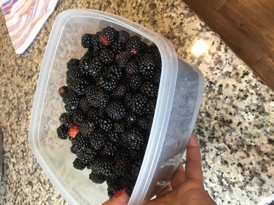 C57CE83F-6A8D-4D27-87E0-3EE261F1FFD0.jpeg