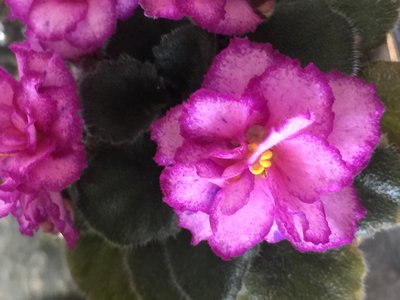 D8B39757-9FB7-448B-94C3-3976B485A449.jpeg