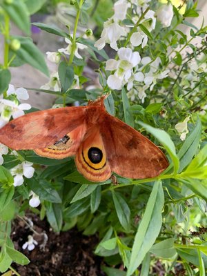 0-02-01-6a77e5f7a89bd28b86fa1d449851e4037b8aa09618d334e55831db1035a2c787_4e33d68b (2).jpg