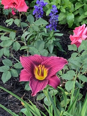 0-02-01-d484650aa85dcbfa38b3b3aa9a9c0d7e6d7d3341a14ae1b76fe20024d3de4d6b_149366e4 (2).jpg