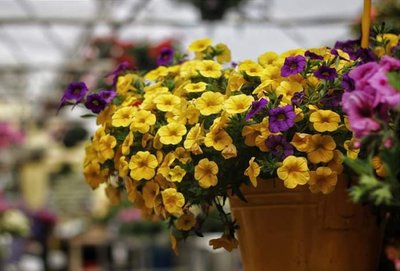 20190517_222251.jpg