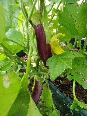 IMG_20190513_153000847.jpg