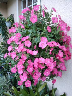IMG_20190429_195604651.jpg