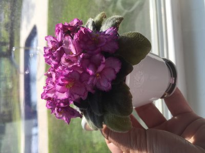 3E371E3C-5030-457C-BD0E-EB1470CD3047.jpeg
