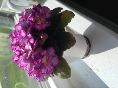D33CA1DF-9E24-43CB-BFD5-F5699BE1B109.jpeg