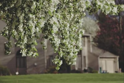 20190525_221841.jpg