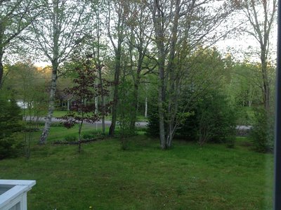 IMG_8943.JPG