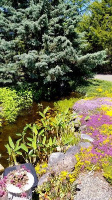 20190617_135124.jpg