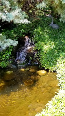 20190617_140417.jpg