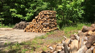 IMG_8973.JPG
