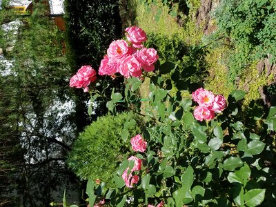20190618_122104.jpg
