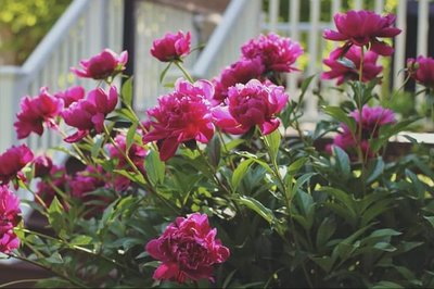 20190623_225715.jpg