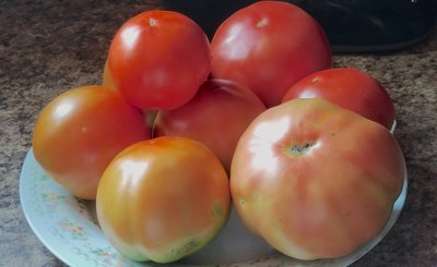 20190625_144425.jpg