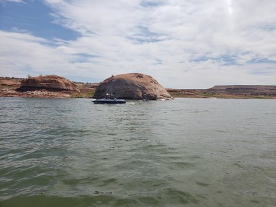 20190629_104959.jpg
