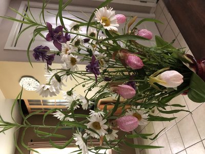 IMG_4721.jpeg