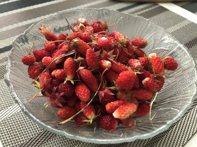 IMG_4715.jpeg