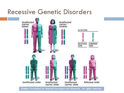 Recessive+Genetic+Disorders.jpg
