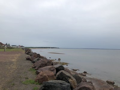 IMG_4876.jpeg