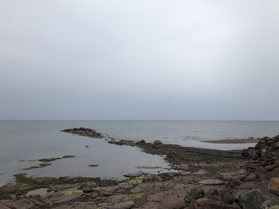 IMG_4873.jpeg