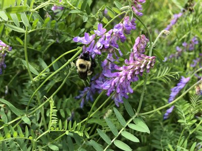IMG_4904.jpeg