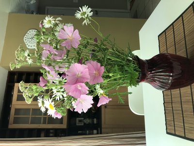 IMG_4952.jpeg