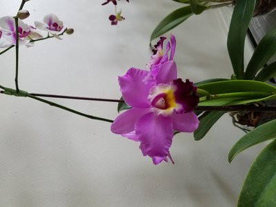 20190716_161656.jpg