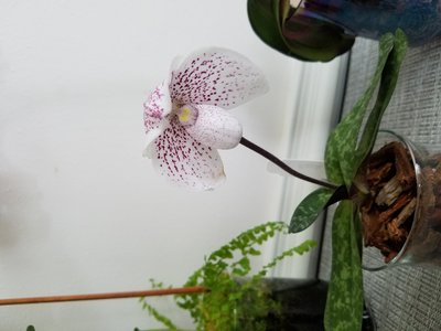 20190716_161638.jpg