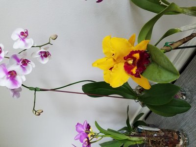 20190716_161605.jpg