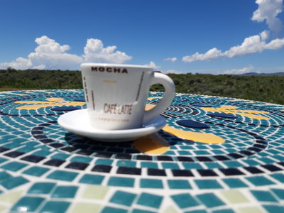 20190602_120724.jpg