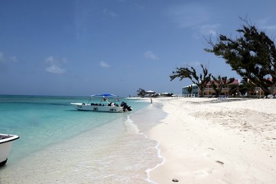 P1000334.JPG