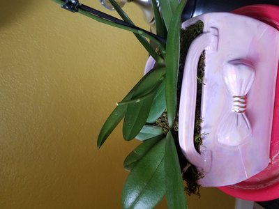 20190722_114600.jpg