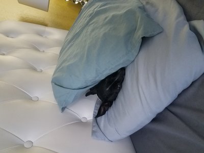 20190715_083349.jpg