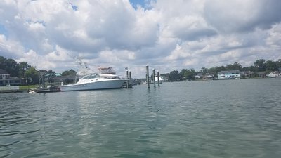 20190804_114850.jpg